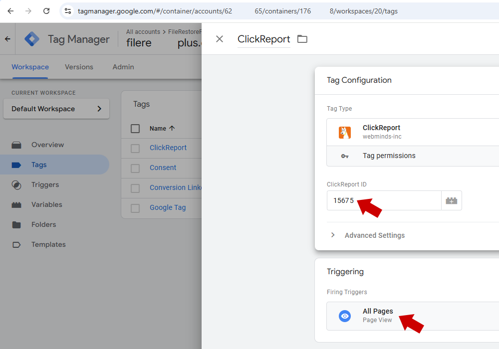 Google Tag Manager